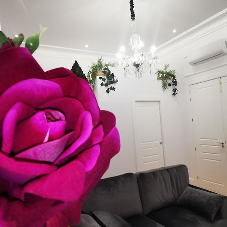 Rua Suites Boutique Саламанка Номер фото